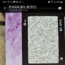 영진궁전 이미지