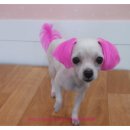 한마음 애견용품 이미지