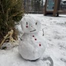 웰빙왕족발 | 광주 서구 풍암동 족발집 추천｜광주 족발 '바람난 왕족발' 먹어본 후기