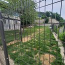 퍼피플리즈 이미지