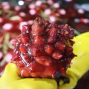 최고수산 이미지