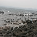 화산열쇠