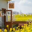 [중간광고없음] 책 한 권과 커피 한 잔이 어울리는 피아노 | Piano for Reading and Coffee Time 📚☕ 이미지