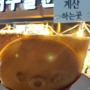 여수달구나