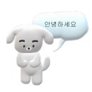 공차여수 - 여수시 무선로 61 | [행사 후기]❤️원츠 순천, FUN WALIKNG 후기❤️