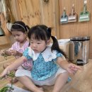 25.8.28.(목) 부추전, 신문읽기, 국악 이미지