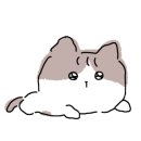 박가네닭갈비 메밀막국수 이미지