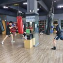 강성주복싱 칠금점 이미지
