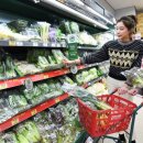 신선4호 이미지