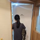 산내동물병원 | 파주 운정산내동물병원 5개월 폼스키 숫컷 중성화 수술 비용 후기