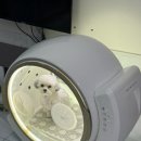 해피독 애견펜션 이미지