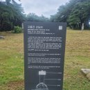 고씨