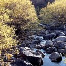 (주) 산수유 Daum카페