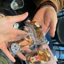 생굴해안조개구이찜 이미지