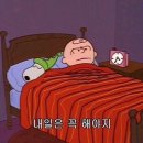 로샤분당 | 9월