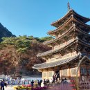 법주사 - 경상북도 군위군 | 법주사