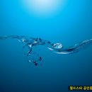 월드스타공인중개사 사무소 이미지