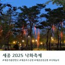 [세종]인생여행지 2025 세종 호수공원 낙화축제