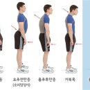바른자세 필라테스 이미지