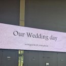 승환축사 | W16. 24년 11월 ::: 가천컨벤션센터 본식후기 (+보증인원 팁)