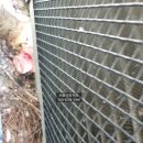 부영@3단지 이미지