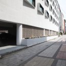 브라운도트 이미지