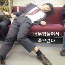 하늘바람휴먼시1단지(아)경로당 | 한달치 2주를 보낸 사람의 블로그