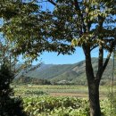 학마을캠프 | 철원캠핑장/가을캠핑 _ 241001-03 별이 쏟아지는 철원학마을캠프 데크사이트 06 후기 (데크 D6)