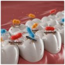 올바른치과의원 이미지