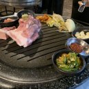 조연탄 기다리면 돼지 이미지