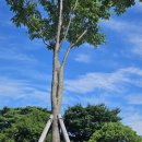 화명종합사회복지관 이미지