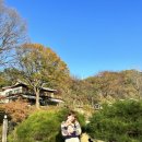 143 | 남양주 애견카페 바닐라브릭 서울근교 대형 애견운동장이 있는 강아지카페 주말후기 ( 가격, 주차, 웨이팅)