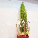 달이네찬 이미지