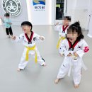 태아일체 선호 태권도장 이미지