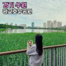 이자매펫미용원 | 경기도 수원 가볼만한곳 광교호수공원 텐트 물놀이 돗자리 피크닉