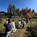 농촌목장 이미지