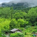 스테이 다연 이미지