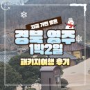풍기인삼시장 | 동그라미여행사 영주 국내 패키지여행 후기 2편( 부석사 소수서원 풍기인삼시장 등 )