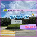그린농장(GREEN) | [양주 송추CC] 라운딩 후기, 그린피, 반바지 착용, 망고빙수