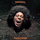 Funkadelic - Maggot Brain 이미지