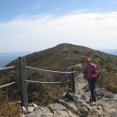 양산신-2015 이미지