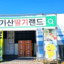 골든베리팜 이미지