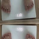 대회 끝난 첫 주말 | 유지어터 쉽지 않다, 다음 목표는 엉덩이 키우기 (7/5)