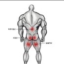 굿모닝헬스 이미지