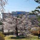 세무서.도청입구.신용회복위원회(03038) 이미지