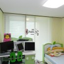 에코라인 이미지