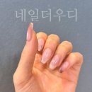 더우디 | 일산 주엽 네일 네일더우디 : 자석네일 이렇게 예쁠 일?! 찐 후기