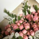 창원비자번역행정사사무소 이미지