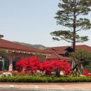 보성골프존 이미지