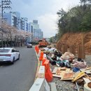 대공원로 이미지